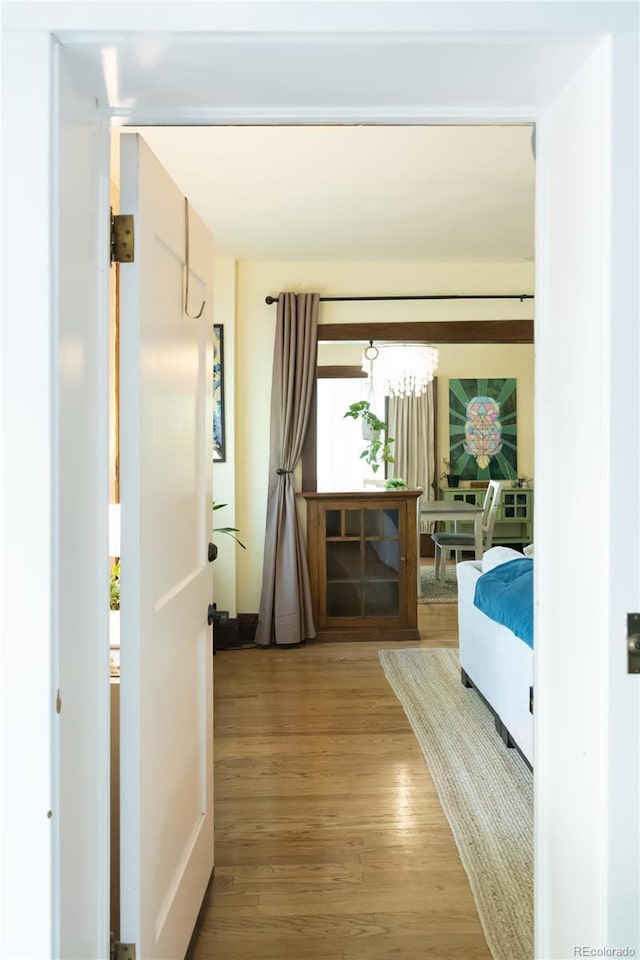 1415 Steele St Unit 201, Denver, CO 80206 - photo 17