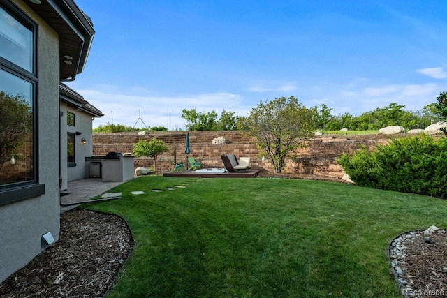5810 Amber Ridge Dr, Castle Pines, CO 80108 - view of yard