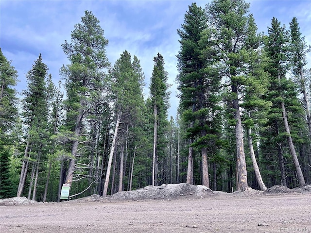 LOT171 Lower Forest Rd, Idaho Springs, CO 80452 - photo 1