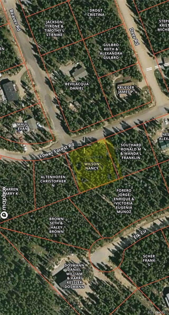 LOT171 Lower Forest Rd, Idaho Springs, CO 80452 - photo 4