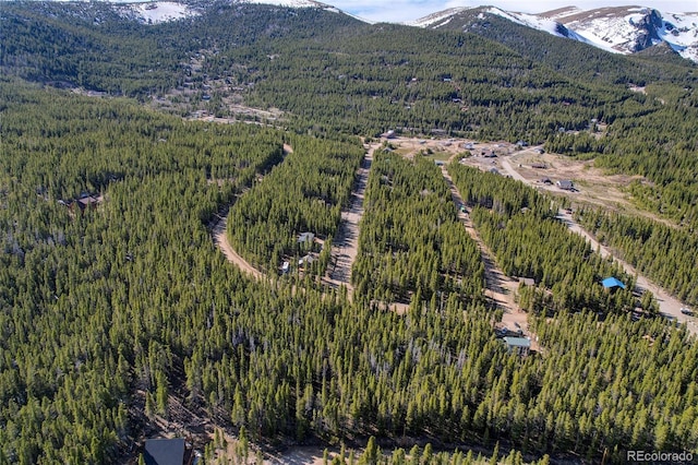 LOT171 Lower Forest Rd, Idaho Springs, CO 80452 - photo 5
