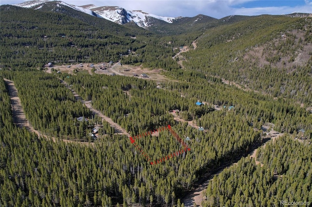 LOT171 Lower Forest Rd, Idaho Springs, CO 80452 - photo 6