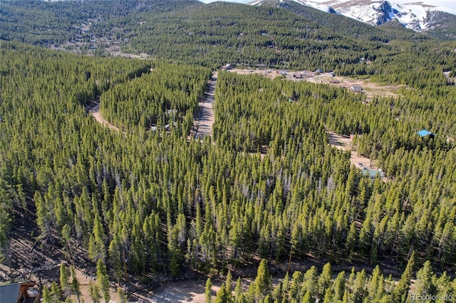 LOT171 Lower Forest Rd, Idaho Springs, CO 80452 - photo 7