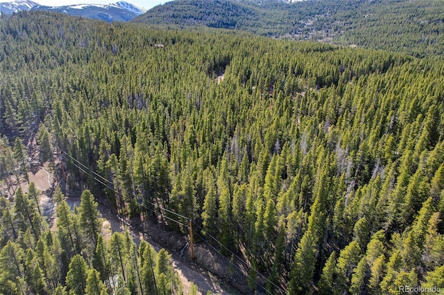 LOT171 Lower Forest Rd, Idaho Springs, CO 80452 - photo 8