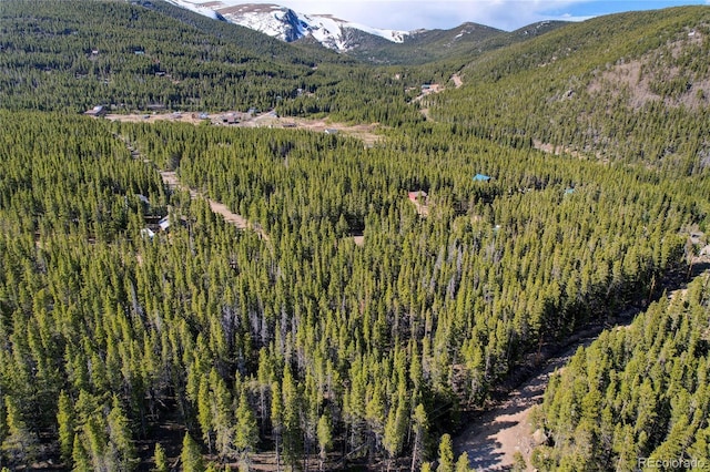 LOT171 Lower Forest Rd, Idaho Springs, CO 80452 - photo 9