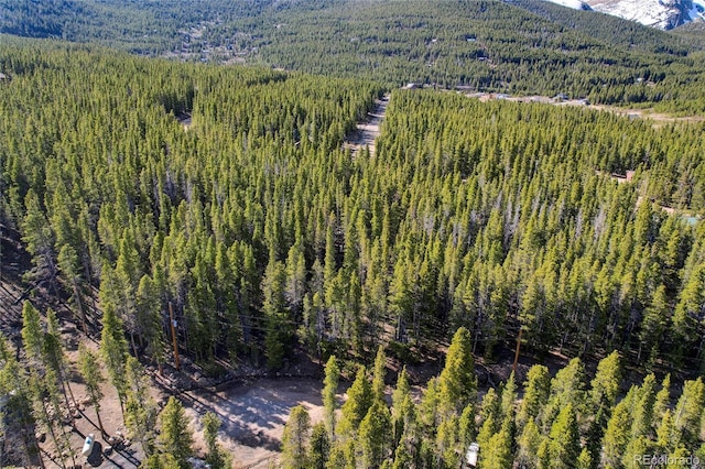 LOT171 Lower Forest Rd, Idaho Springs, CO 80452 - photo 10