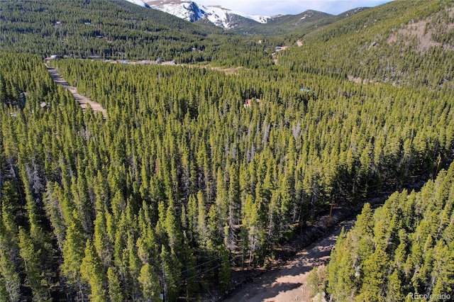 LOT171 Lower Forest Rd, Idaho Springs, CO 80452 - photo 11
