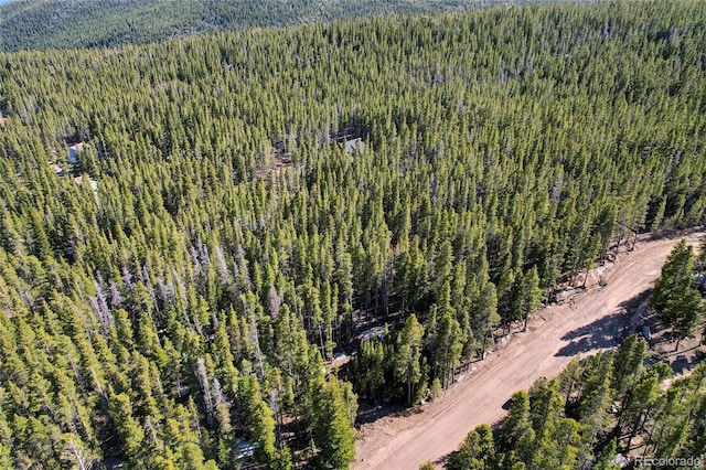 LOT171 Lower Forest Rd, Idaho Springs, CO 80452 - photo 12