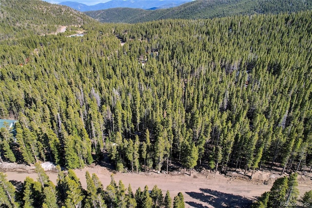 LOT171 Lower Forest Rd, Idaho Springs, CO 80452 - photo 13