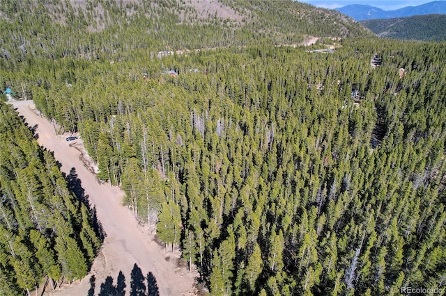 LOT171 Lower Forest Rd, Idaho Springs, CO 80452 - photo 14