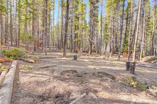 LOT171 Lower Forest Rd, Idaho Springs, CO 80452 - photo 17