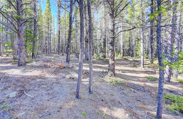 LOT171 Lower Forest Rd, Idaho Springs, CO 80452 - photo 18