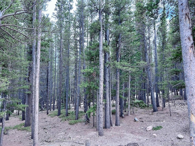 LOT171 Lower Forest Rd, Idaho Springs, CO 80452 - photo 21