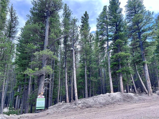 LOT171 Lower Forest Rd, Idaho Springs, CO 80452 - photo 22