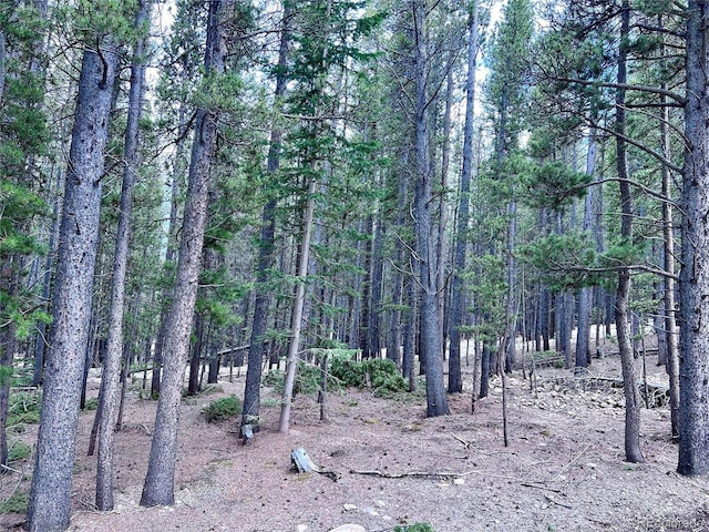 LOT171 Lower Forest Rd, Idaho Springs, CO 80452 - photo 23