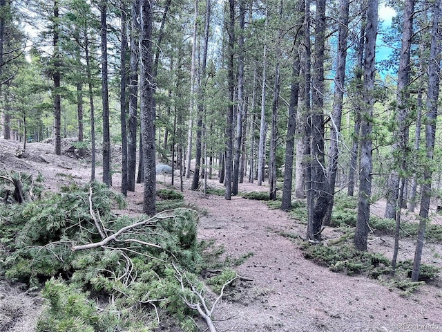 LOT171 Lower Forest Rd, Idaho Springs, CO 80452 - photo 24