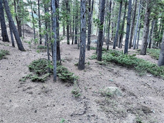 LOT171 Lower Forest Rd, Idaho Springs, CO 80452 - photo 25