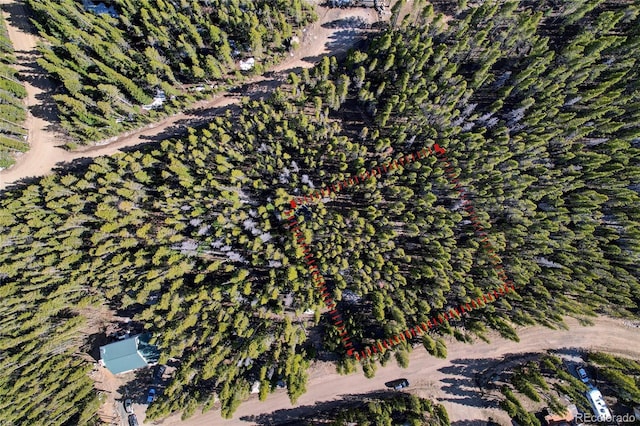 LOT171 Lower Forest Rd, Idaho Springs, CO 80452 - photo 27
