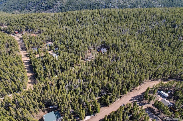 LOT171 Lower Forest Rd, Idaho Springs, CO 80452 - photo 28