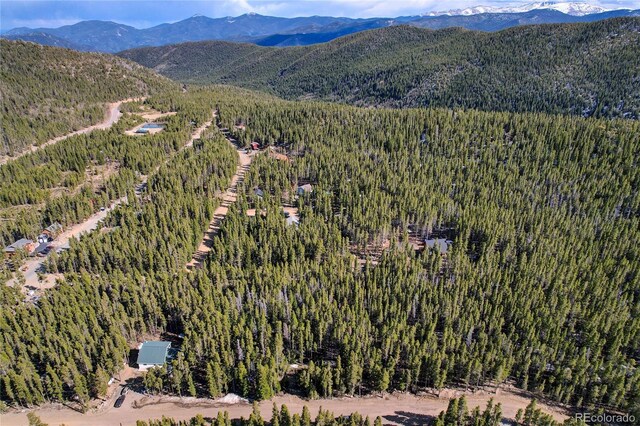 LOT171 Lower Forest Rd, Idaho Springs, CO 80452 - photo 29