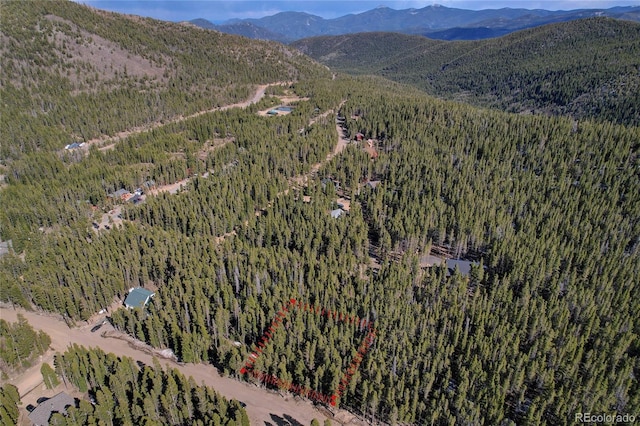 LOT171 Lower Forest Rd, Idaho Springs, CO 80452 - photo 30