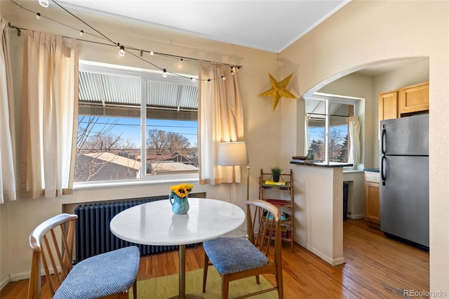 dining room featuring light hardwood / wood-style flooring, ornamental molding, a healthy amount of sunlight, and radiator heating unit