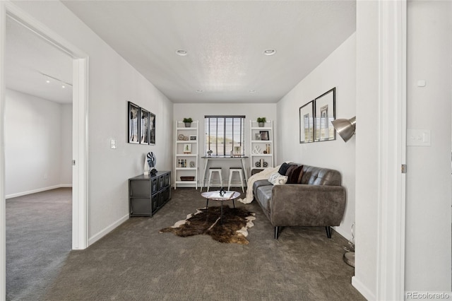 2668 Scoter Ln, Castle Rock, CO 80104 - photo 31