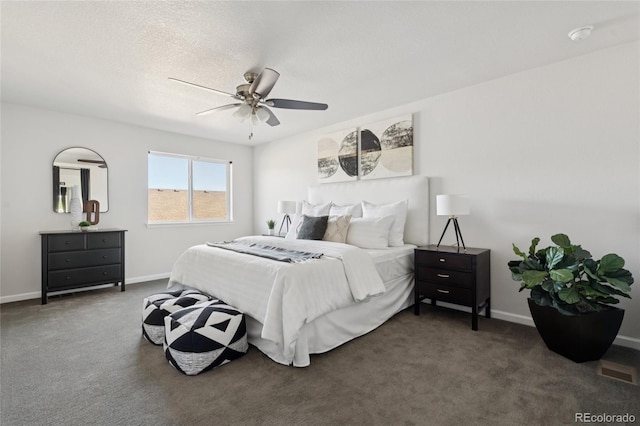 2668 Scoter Ln, Castle Rock, CO 80104 - photo 36