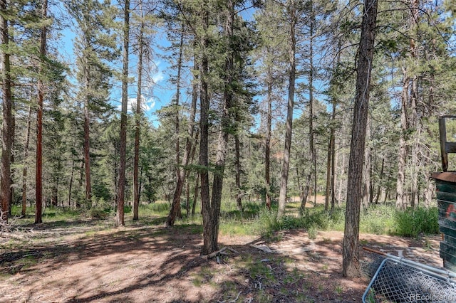 28667 Aspen Dr, Conifer, CO 80433 - photo 39