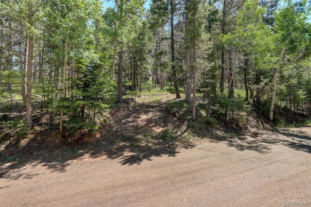 28667 Aspen Dr, Conifer, CO 80433 - photo 41