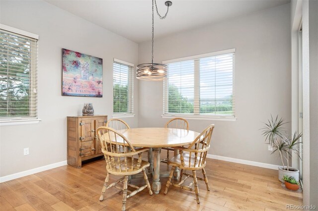 1788 Holmby Ct, Castle Rock, CO 80104 - photo 15