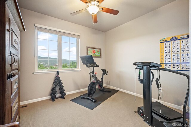 1788 Holmby Ct, Castle Rock, CO 80104 - photo 31