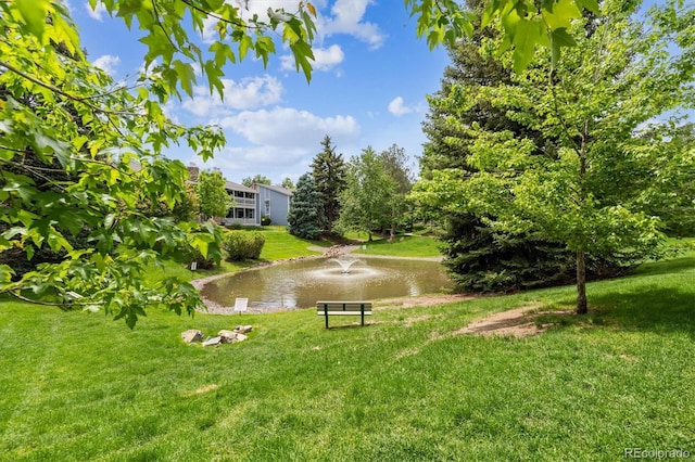 8335 Fairmount Dr Unit 9-201, Denver, CO 80247 - view of home's community featuring a lawn and a water view