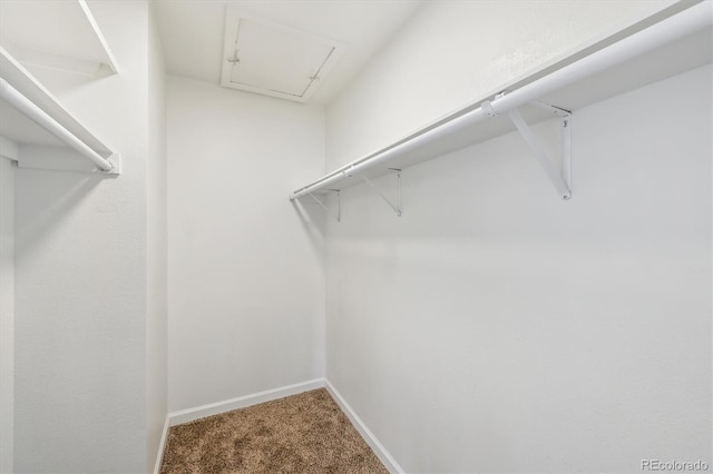 8335 Fairmount Dr Unit 9-201, Denver, CO 80247 - walk in closet with carpet flooring