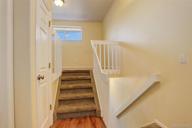 staircase with wood-type flooring