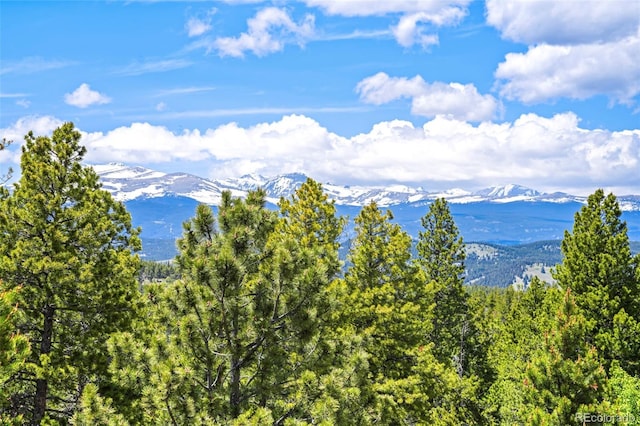 109 Cutforth Rd, Black Hawk, CO 80422 - mountain view