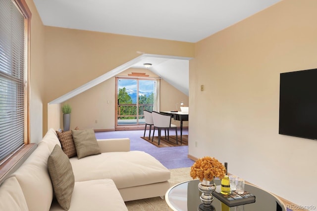 109 Cutforth Rd, Black Hawk, CO 80422 - living area featuring carpet flooring and lofted ceiling