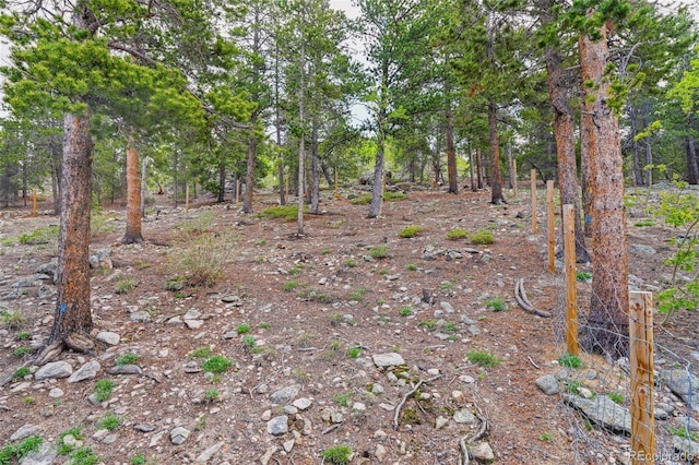 109 Cutforth Rd, Black Hawk, CO 80422 - view of undeveloped land