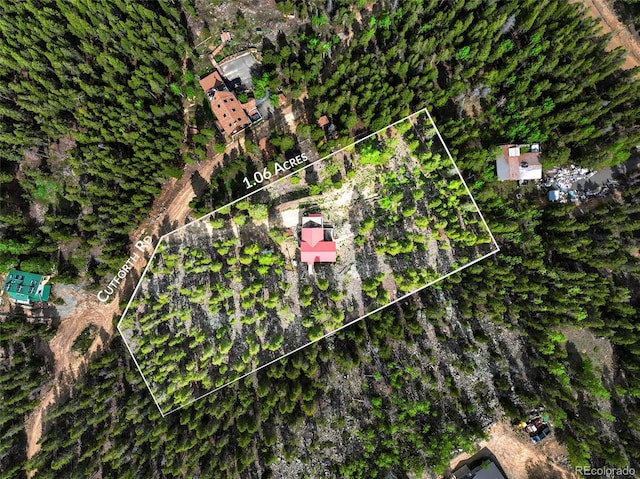 109 Cutforth Rd, Black Hawk, CO 80422 - view of property location featuring property boundaries highlighted