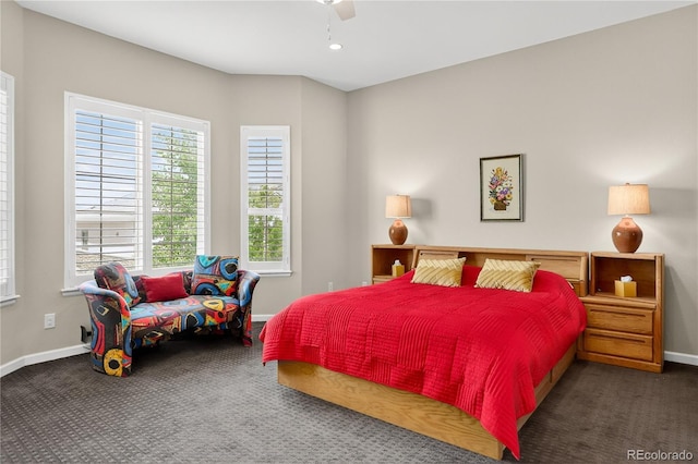 15797 Fishers Peak Dr, Broomfield, CO 80023 - photo 15