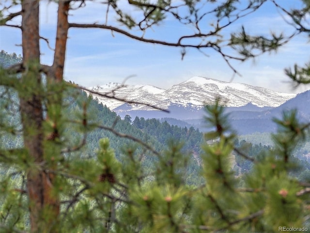 3173 Gold Yarrow Ln, Evergreen, CO 80439 - mountain view