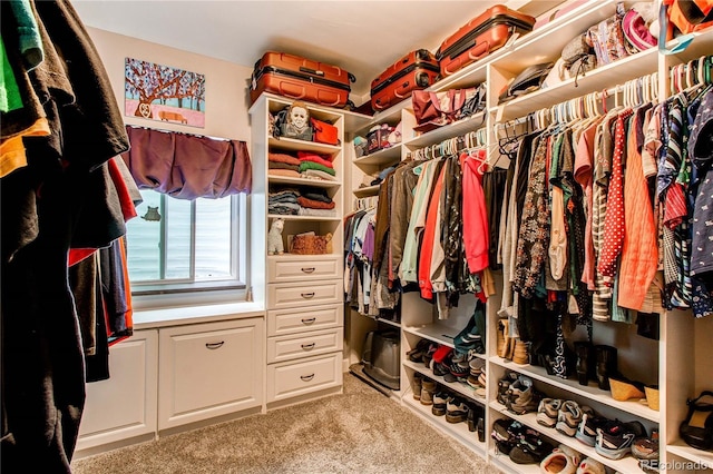 25120 E Maple Pl, Aurora, CO 80018 - spacious closet featuring carpet flooring