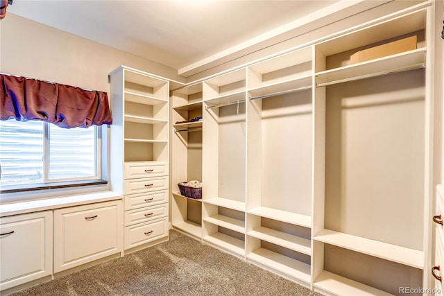 25120 E Maple Pl, Aurora, CO 80018 - photo 21