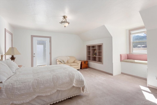 716 W Blarney Stone Rd, Howard, CO 81233 - photo 21