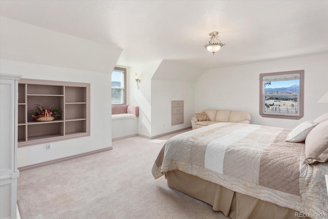 716 W Blarney Stone Rd, Howard, CO 81233 - photo 23