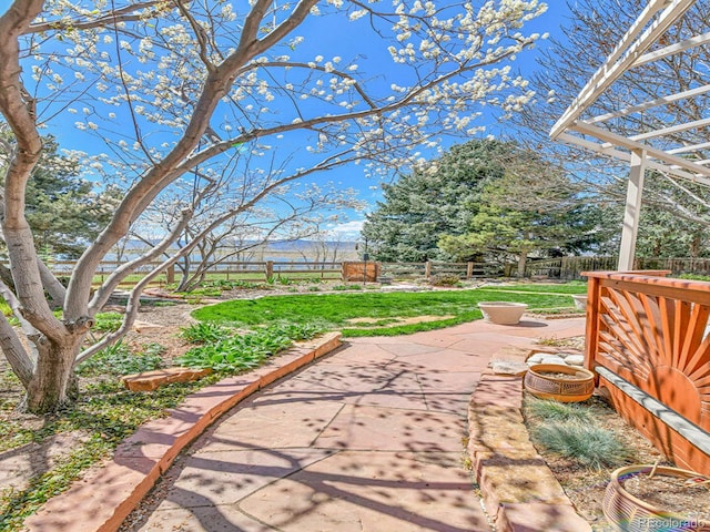 view of yard with a fenced backyard and a patio area