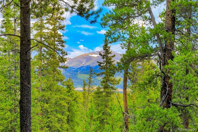 0000 Dry Gulch, Fairplay, CO 80440
