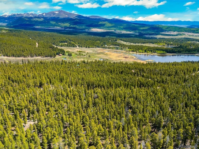 0000 Dry Gulch, Fairplay, CO 80440