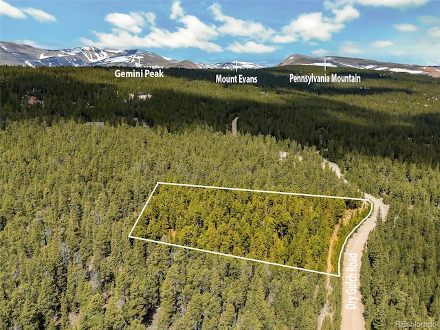 0000 Dry Gulch, Fairplay, CO 80440