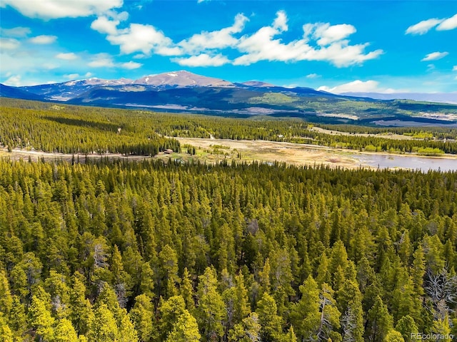 0000 Dry Gulch, Fairplay, CO 80440